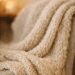 癱瘓浪貓獲救後竟能用AI義肢行走？Tesla Mechanical Design啟發奇蹟重生【貓媽咪】